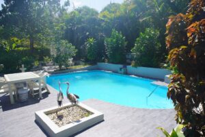 Sosúa Tropical Garden Retreat
